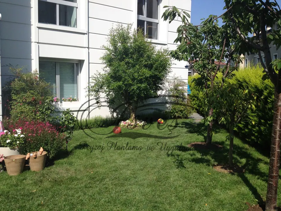 Villa bahçesinde çim alan ve bitki grupları