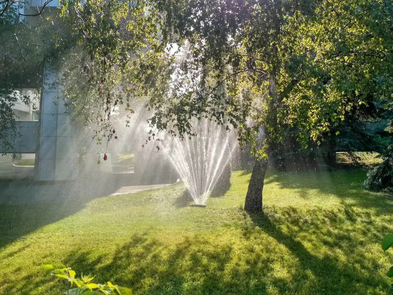 Ağaç altındaki çimi sulayan otomatik sulama spreyi